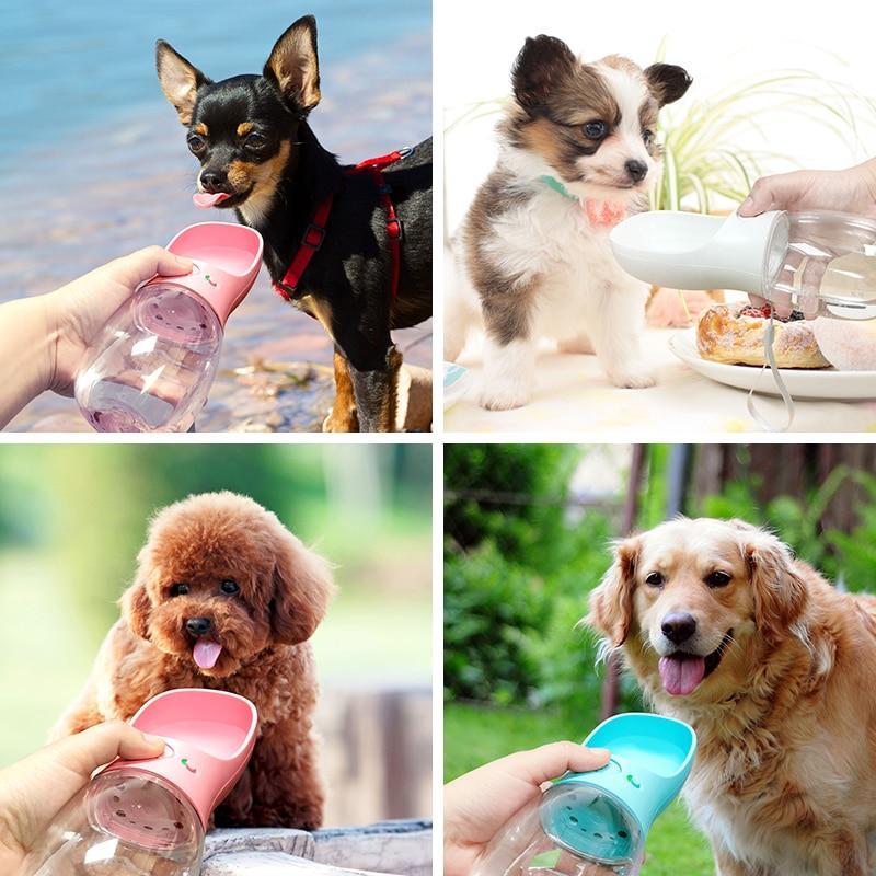 AquaPaws Portable Pet Bottle