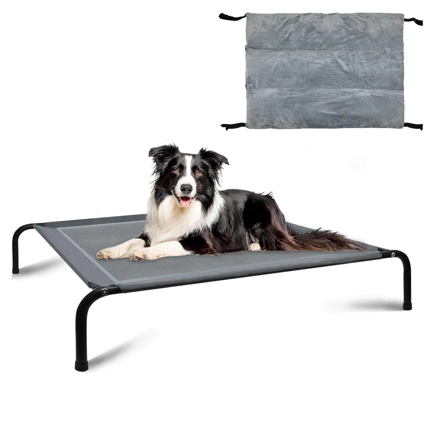 Elevated Comfort Large Dog Bed with Cushion
