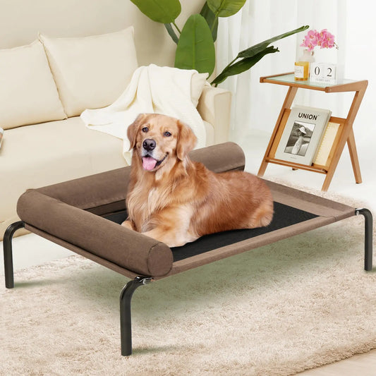 Elevated Dog Bed with Pillow & Mat